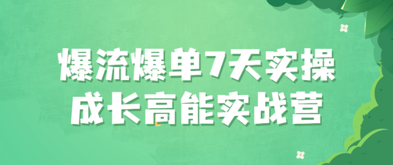 爆流爆单7天实操成长高能实战营