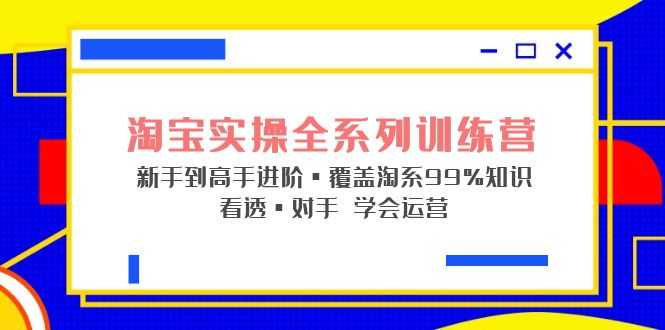 淘宝实战宝典+淘系全系列进阶，初级到进阶，覆盖淘系99%的知识，