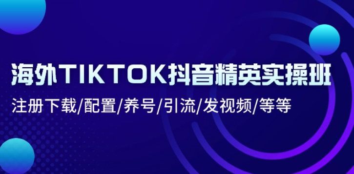 海外TIKTOK抖音精英实操班：注册下载/配置/养号/引流/发视频/等等