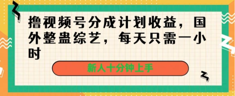 撸视频号分成计划收益，国外整蛊综艺，每天只需一小时，新人十分钟上手