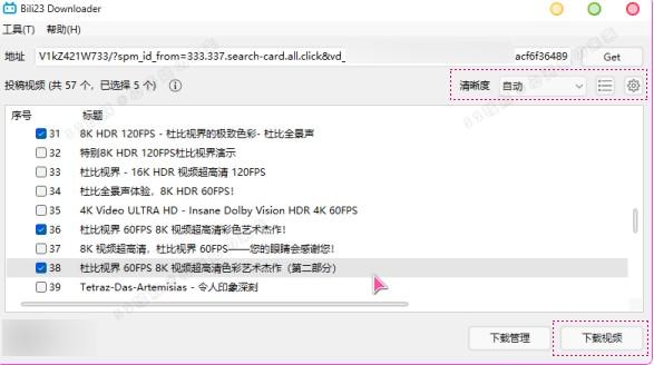 B站视频下载器 Bili23-Downloader v1.55.0 新春版，支持自动高音画质 