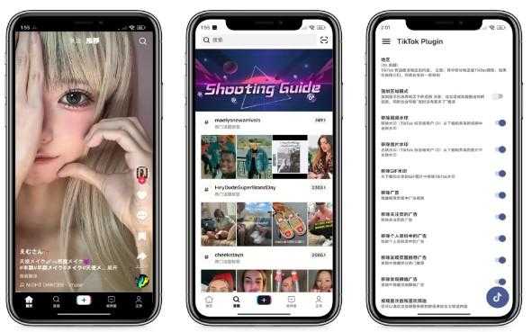 3月3日最新TikTok国际版包含安卓/苹果版和小白保姆式教程配套工具